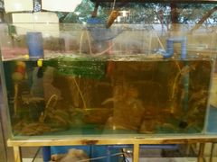 -2048香辣虾(七星岗店)