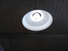 -狮龙啤酒烧烤屋(建二路店)
