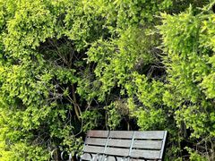 -眉山湿地公园(东坡区)