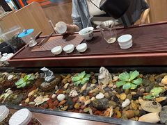 -厦门老字号·旷野茶叶(茶厂直营中山路店)