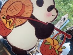 -轩客会(熊猫书店)