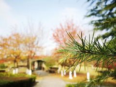 -白塘生态植物园