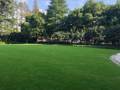 -静安公园(静安寺街道)