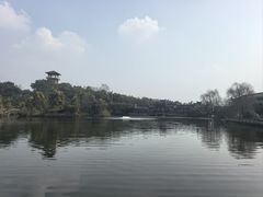 -张坝桂圆林公园