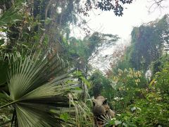 -海南热带野生动植物园