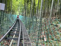 -藏龙百瀑风景区