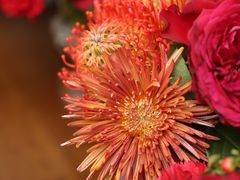 -格蕾花坊(民盈·国贸城店)