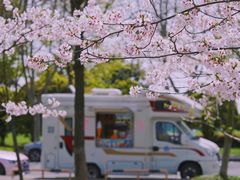 -阳澄湖半岛旅游度假区