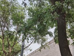 -西安城墙·碑林历史文化景区