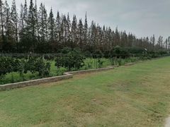 -前小桔亲子创意农场·草莓采摘·露营烧烤