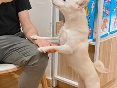 -Double Rui宠物酒店