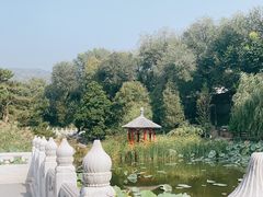 -八大处公园