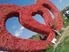 -北纬44度·金珠花海休闲农业旅游景区