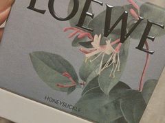 -LOEWE罗意威(万象城店)