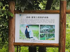 -福建鲤鱼洲酒店