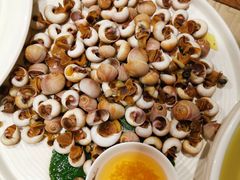 海螺-聚缘堂·海鲜私房菜(松岭路店)