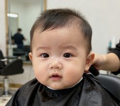 -上海小小宝婴儿理胎发胎毛笔