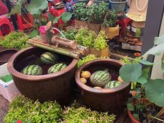 -赵美丽·重庆社区火锅·直营店(火车东站·中豪国际店)