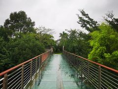 -神光山国家森林公园