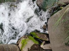 -金海湾滨江公园