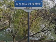 -南汇桃花村