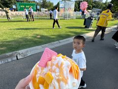 -青枫公园