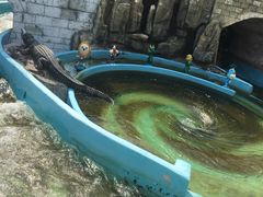 -南京银杏湖乐园