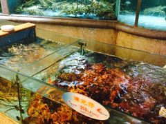 -快乐海鲜酒楼(滇池路店)