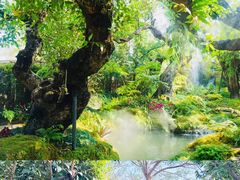 -Chom Cafe and Restaurant