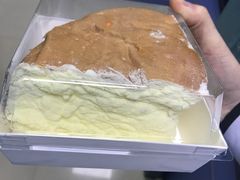 -向阳坊(树兜店)