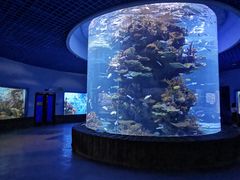 -多彩贵州城极地海洋世界