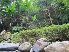 -明月山天沐温泉度假村