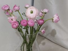 -双季花艺园艺市场(浦东店)