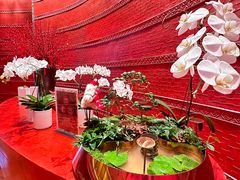 -北京康莱德酒店