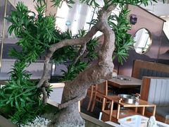 -马家斑.鲜鱼火锅(松湖万科店)