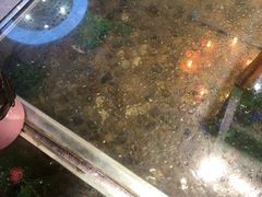 -印象江南(东栅店)