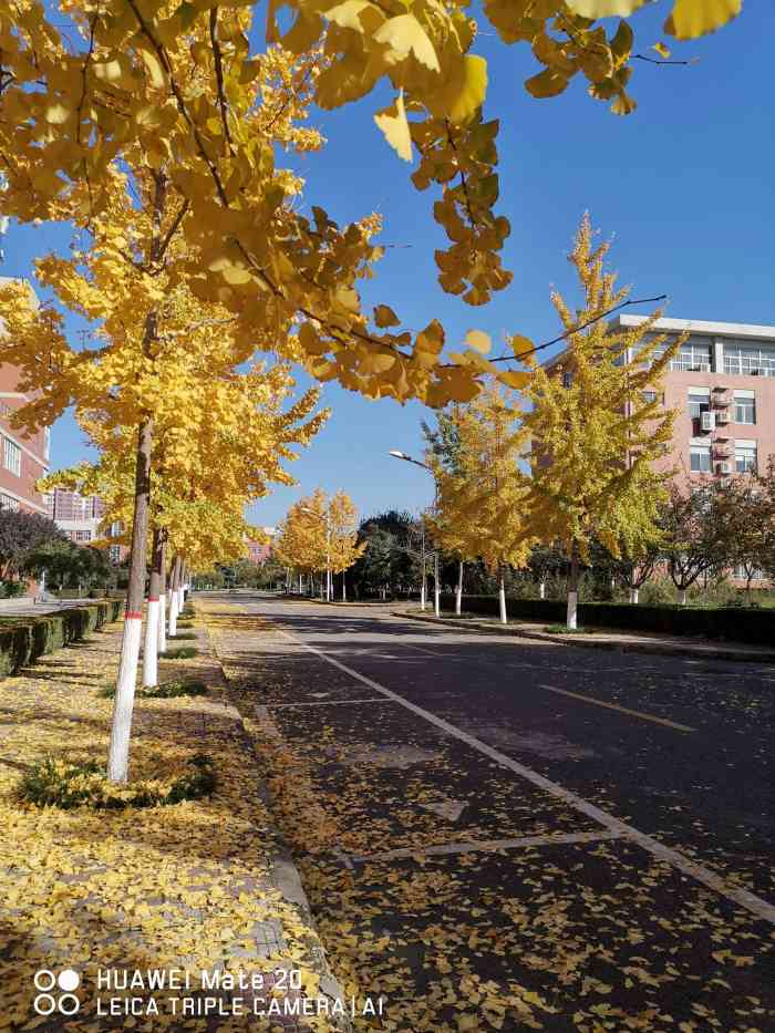 西安医学院未央校区图片