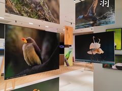 -Sony Store 索尼(上海淮海中路店)