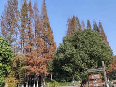 -乌村