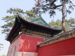 -普乐寺