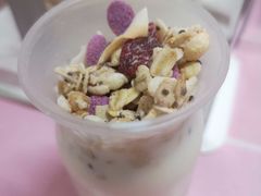 坚果酸奶-考拉与糖·纯安佳动物奶油蛋糕(理工大学店)