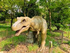 -上海海湾国家森林公园