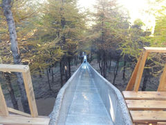 android_upload_pic-红崖峡谷景区