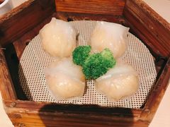 避风塘虾饺皇-避风塘(宝山万达店)