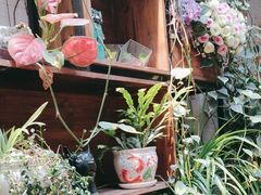 -杨小贤(五店市店)