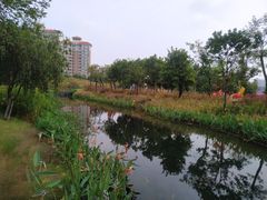 -映月湖公园