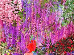 -正佳雨林生态植物园
