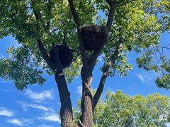 -东钱湖旅游度假区