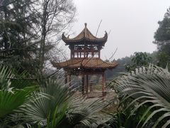 -铁山坪森林公园