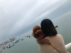 -黄金海岸环岛路